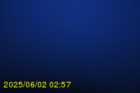 Img20250602_025741.jpg