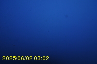 Img20250602_030241.jpg