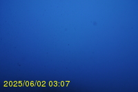 Img20250602_030741.jpg