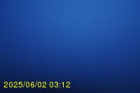 Img20250602_031241.jpg