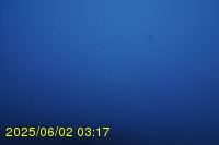 Img20250602_031741.jpg