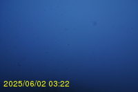 Img20250602_032241.jpg