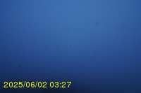 Img20250602_032741.jpg