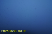 Img20250602_033241.jpg