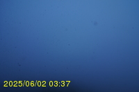 Img20250602_033741.jpg