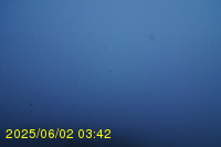 Img20250602_034241.jpg