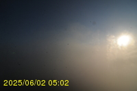Img20250602_050242.jpg
