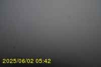 Img20250602_054242.jpg