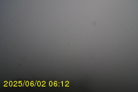 Img20250602_061242.jpg