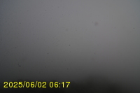 Img20250602_061742.jpg