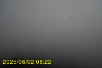 Img20250602_062242.jpg