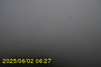 Img20250602_062742.jpg