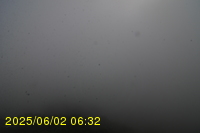 Img20250602_063242.jpg