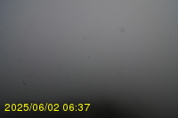Img20250602_063742.jpg