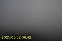 Img20250602_064242.jpg
