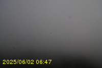 Img20250602_064742.jpg