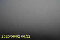Img20250602_065242.jpg