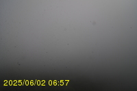 Img20250602_065742.jpg