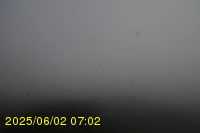Img20250602_070242.jpg