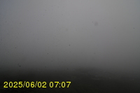 Img20250602_070742.jpg