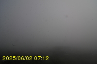 Img20250602_071242.jpg