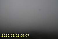 Img20250602_090742.jpg