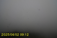Img20250602_091242.jpg