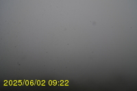 Img20250602_092242.jpg