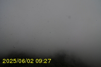 Img20250602_092742.jpg