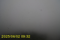 Img20250602_093242.jpg