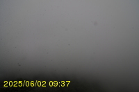 Img20250602_093742.jpg