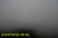 Img20250602_094242.jpg