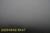 Img20250602_094742.jpg