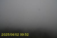 Img20250602_095242.jpg