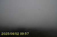 Img20250602_095742.jpg