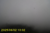 Img20250602_100242.jpg