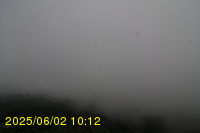 Img20250602_101243.jpg