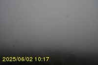 Img20250602_101742.jpg