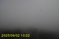 Img20250602_102243.jpg