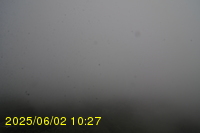 Img20250602_102743.jpg