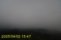 Img20250602_154743.jpg