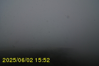 Img20250602_155244.jpg