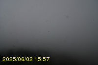 Img20250602_155743.jpg