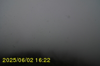 Img20250602_162244.jpg