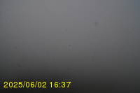 Img20250602_163744.jpg