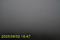 Img20250602_164744.jpg