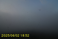 Img20250602_185244.jpg