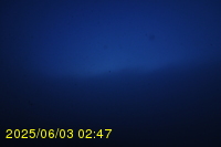 Img20250603_024745.jpg