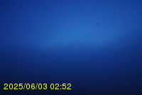 Img20250603_025245.jpg