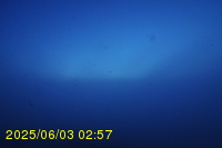 Img20250603_025746.jpg